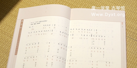 《琴梦红楼》杨青
