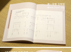 《琴梦红楼》杨青
