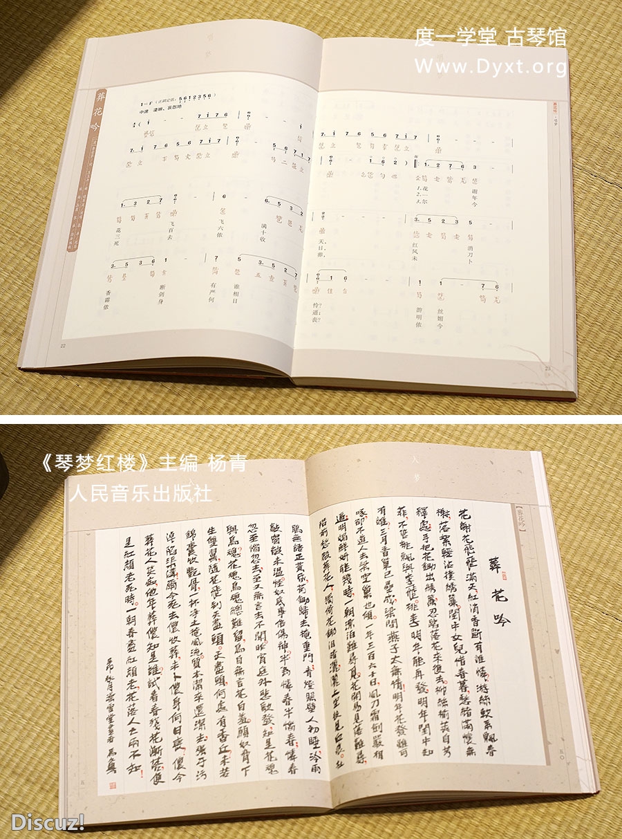 琴梦红楼2.jpg