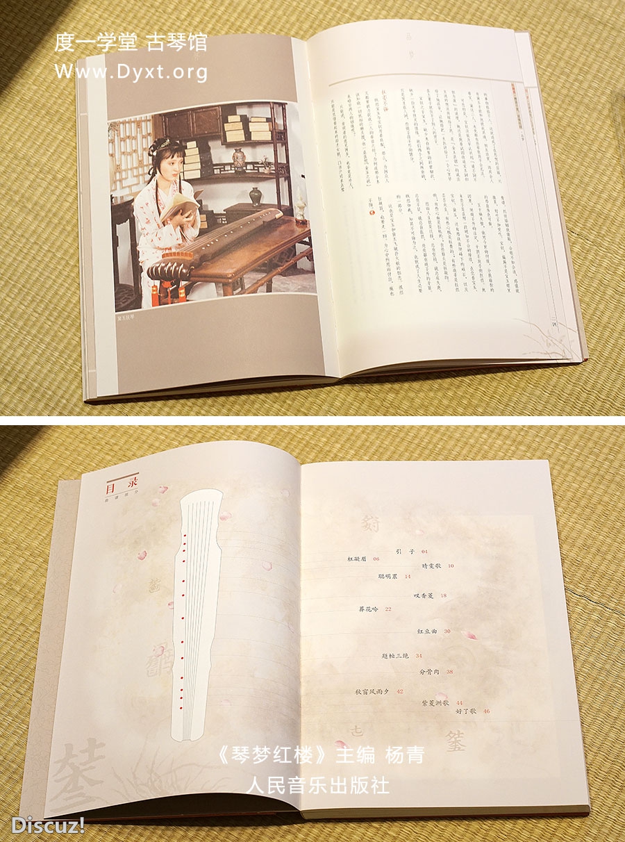 琴梦红楼3.jpg