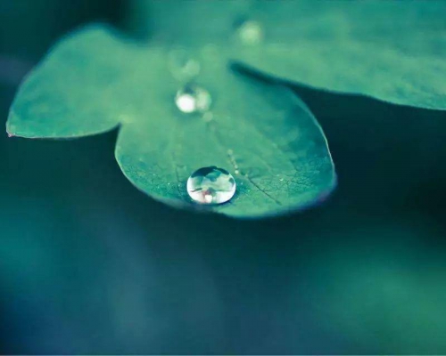 雨水︱上善若水，大地春回